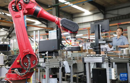 山東滕州 做強主導產業 助推工業經濟駛入 快車道