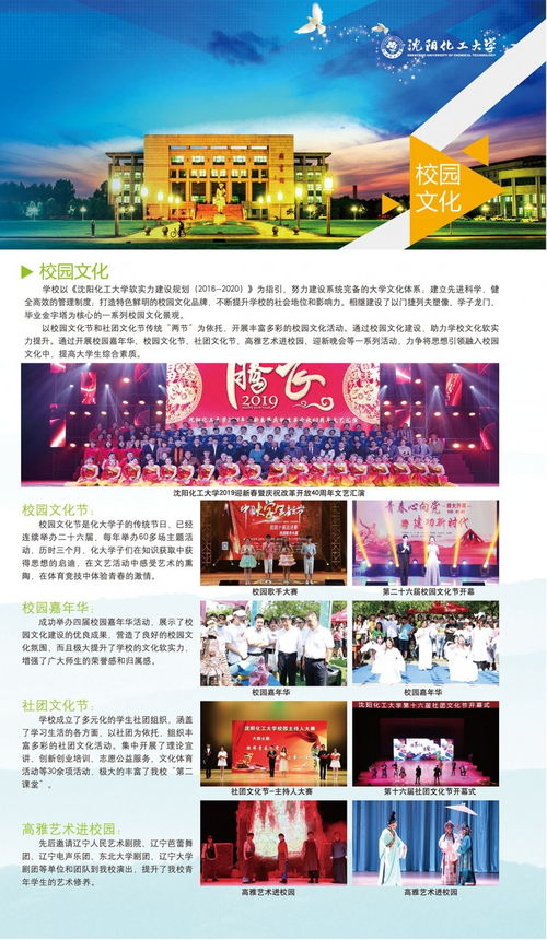2019年沈陽化工大學(xué)招生簡章